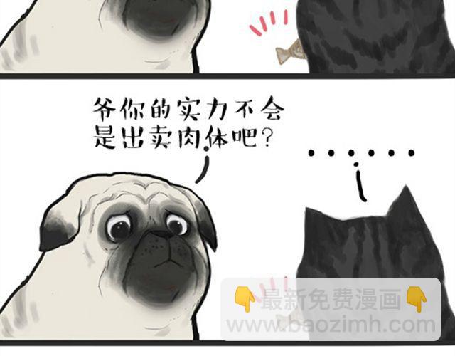 🍘吾皇巴扎黑 第16话 我家猫怎么能牺牲色相 第5页