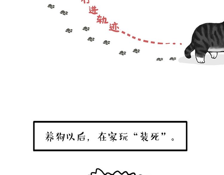 🍘吾皇巴扎黑 第154话 要给自己打个气！ 第13页