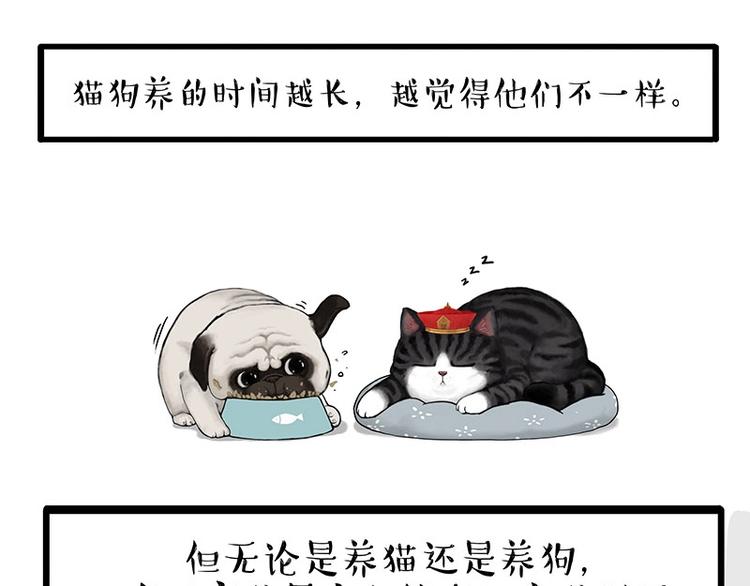 🍘吾皇巴扎黑 第154话 要给自己打个气！ 第16页