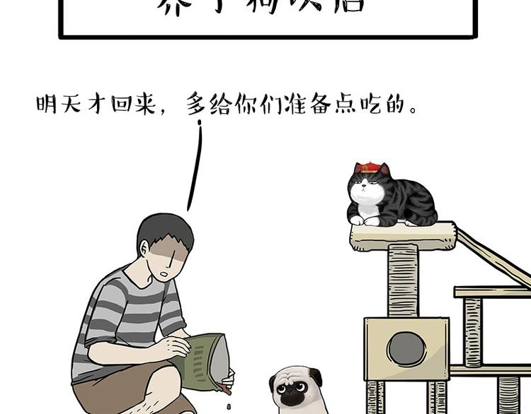 🍘吾皇巴扎黑 第154话 要给自己打个气！ 第3页