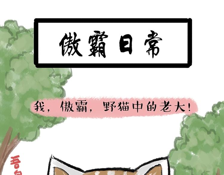 🍘吾皇巴扎黑 第158话 傲霸日常 第1页
