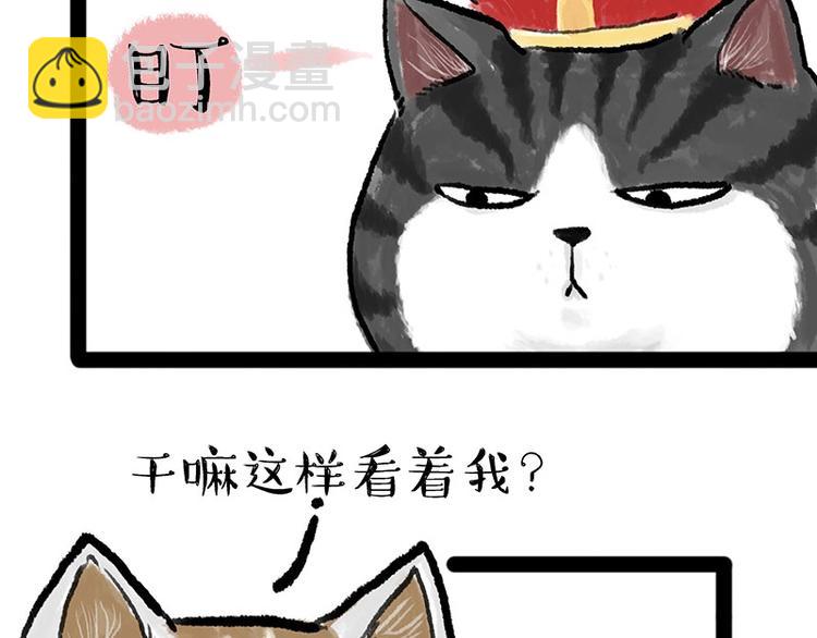 🍘吾皇巴扎黑 第158话 傲霸日常 第13页