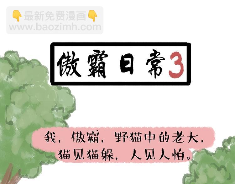 🍘吾皇巴扎黑 第158话 傲霸日常 第19页