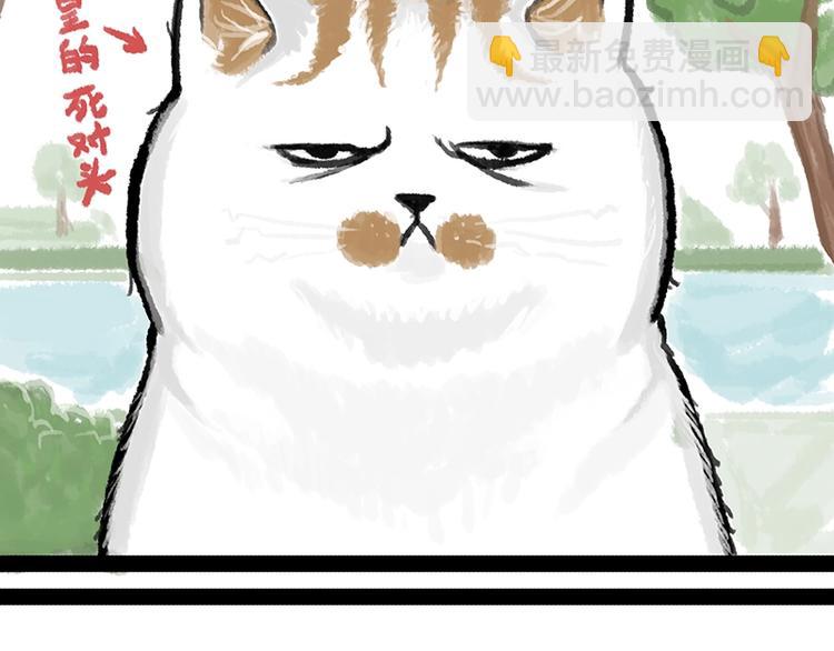 🍘吾皇巴扎黑 第158话 傲霸日常 第2页