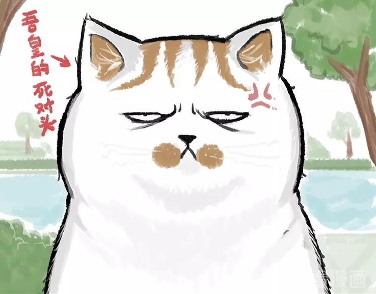 🍘吾皇巴扎黑 第158话 傲霸日常 第20页