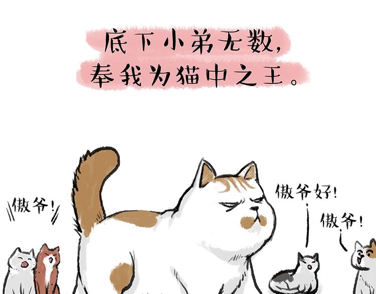 🍘吾皇巴扎黑 第158话 傲霸日常 第3页