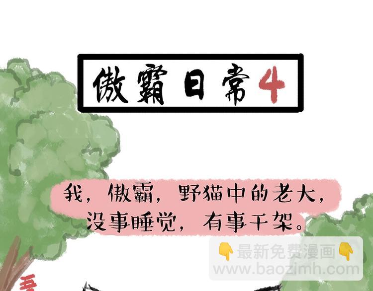 🍘吾皇巴扎黑 第158话 傲霸日常 第31页