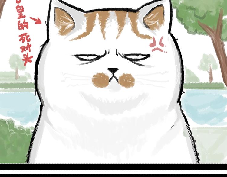 🍘吾皇巴扎黑 第158话 傲霸日常 第32页