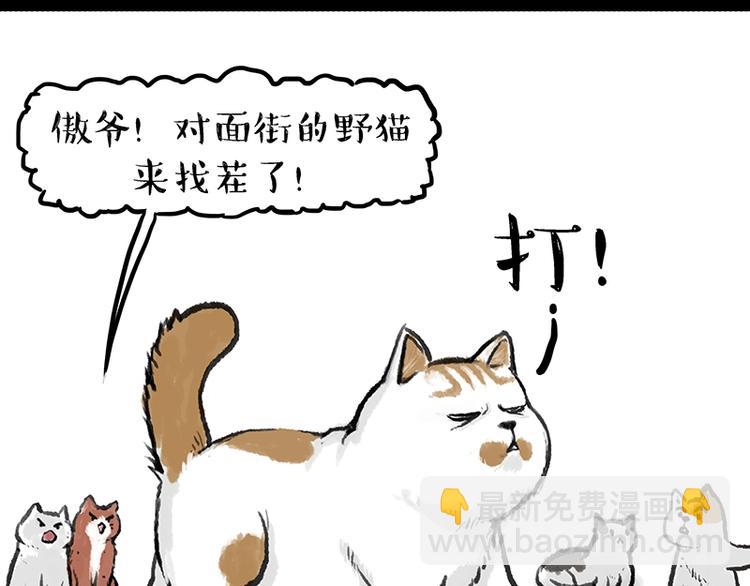 🍘吾皇巴扎黑 第158话 傲霸日常 第33页