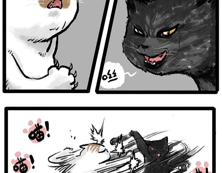 🍘吾皇巴扎黑 第158话 傲霸日常 第37页