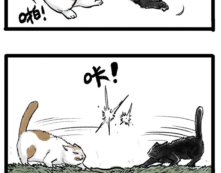 🍘吾皇巴扎黑 第158话 傲霸日常 第39页