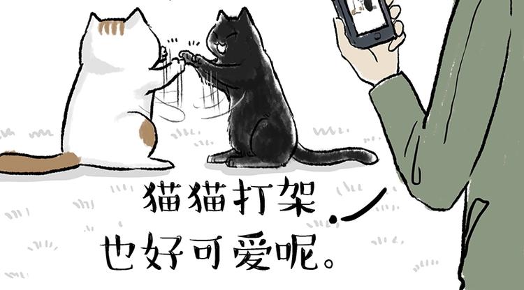 🍘吾皇巴扎黑 第158话 傲霸日常 第42页