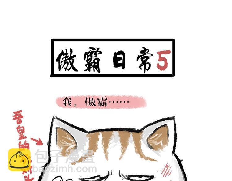 🍘吾皇巴扎黑 第158话 傲霸日常 第43页