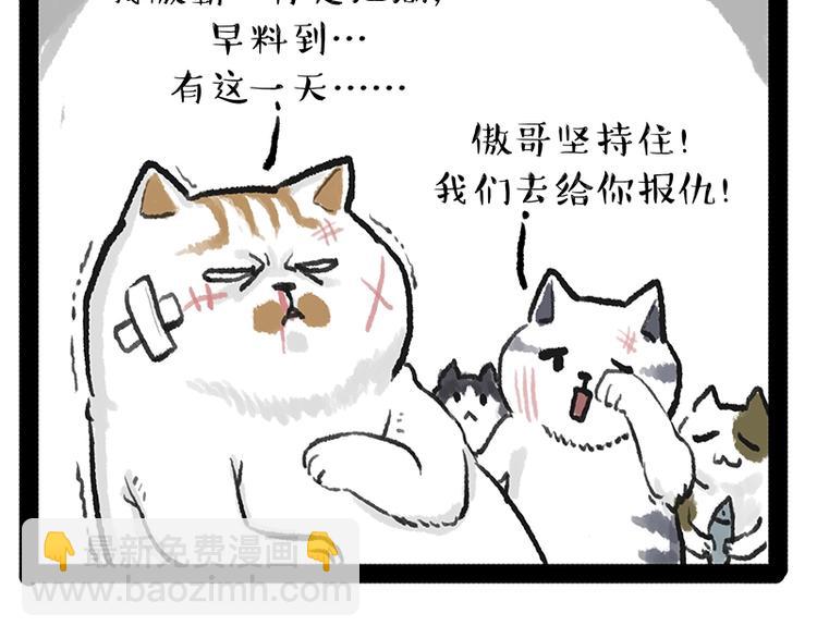 🍘吾皇巴扎黑 第158话 傲霸日常 第45页