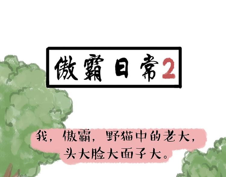 🍘吾皇巴扎黑 第158话 傲霸日常 第8页