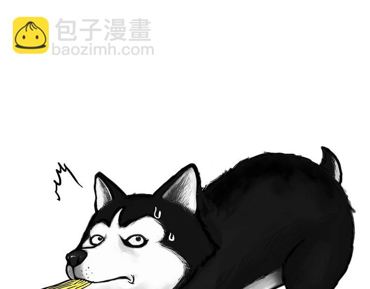 🍘吾皇巴扎黑 第160话 最差的一届哈士奇！ 第11页