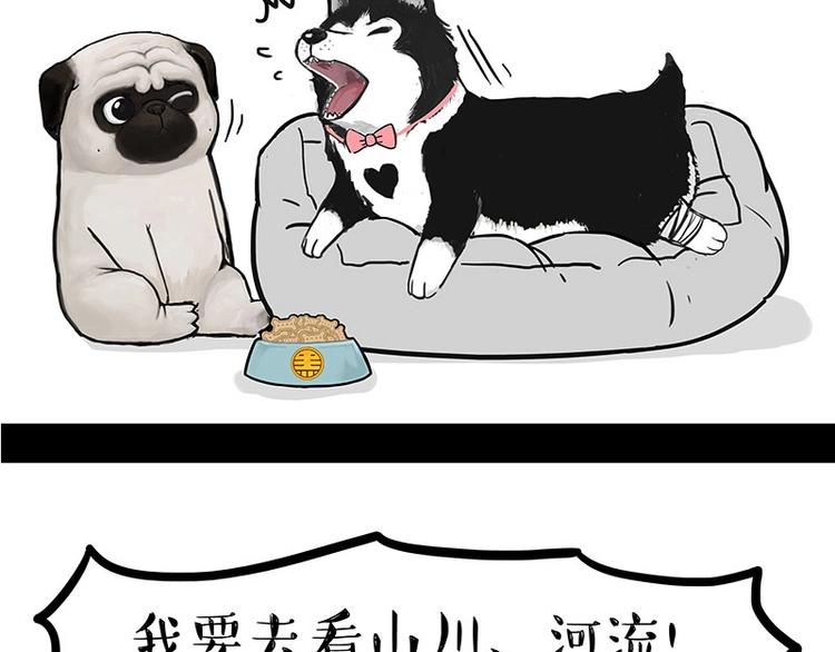 🍘吾皇巴扎黑 第160话 最差的一届哈士奇！ 第22页