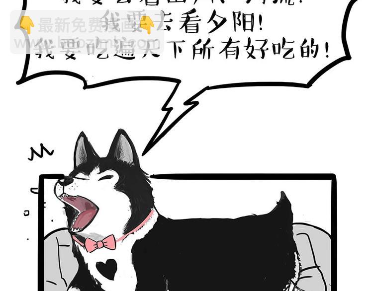 🍘吾皇巴扎黑 第160话 最差的一届哈士奇！ 第23页