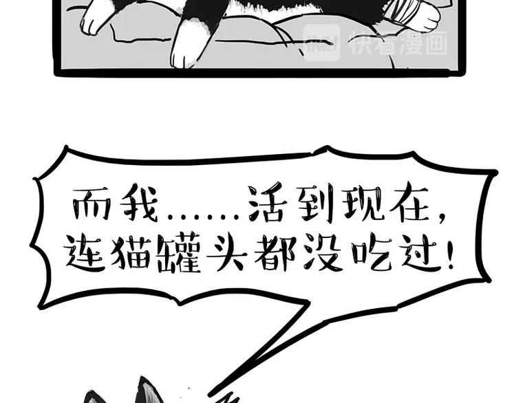 🍘吾皇巴扎黑 第160话 最差的一届哈士奇！ 第24页