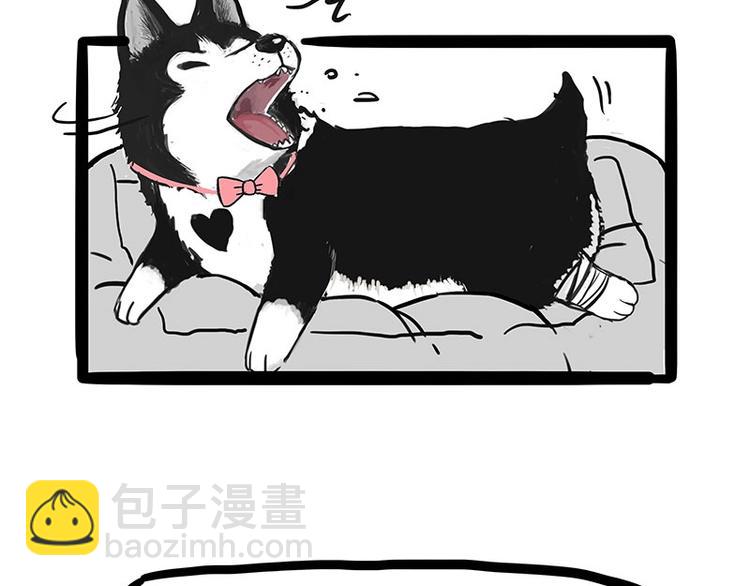 🍘吾皇巴扎黑 第160话 最差的一届哈士奇！ 第25页