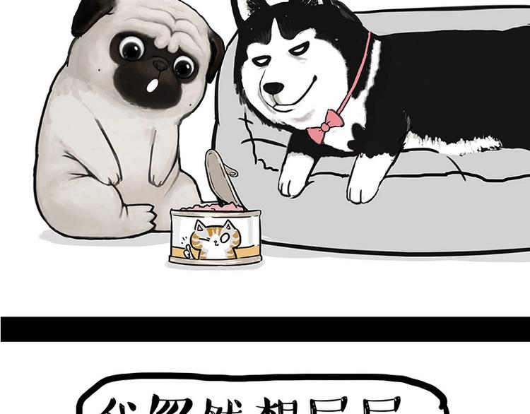 🍘吾皇巴扎黑 第160话 最差的一届哈士奇！ 第30页