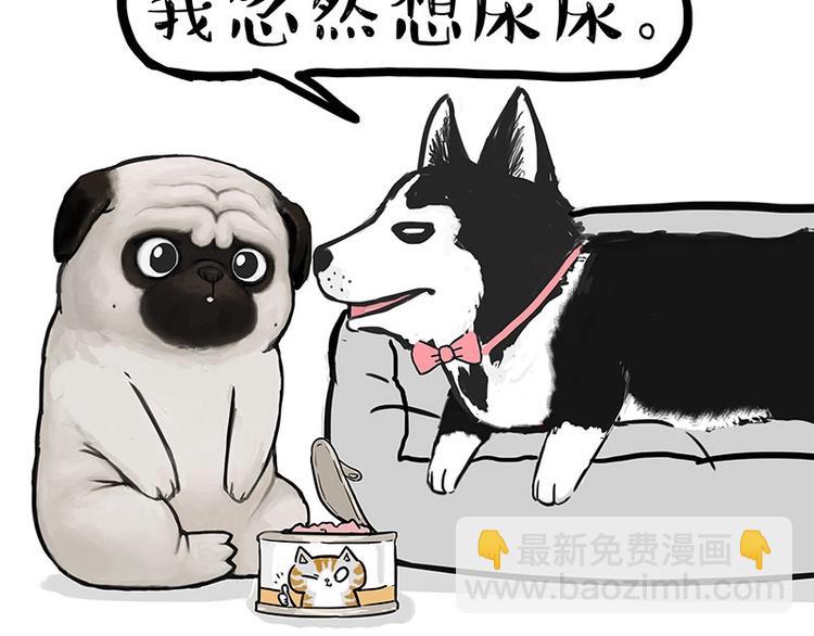 🍘吾皇巴扎黑 第160话 最差的一届哈士奇！ 第31页