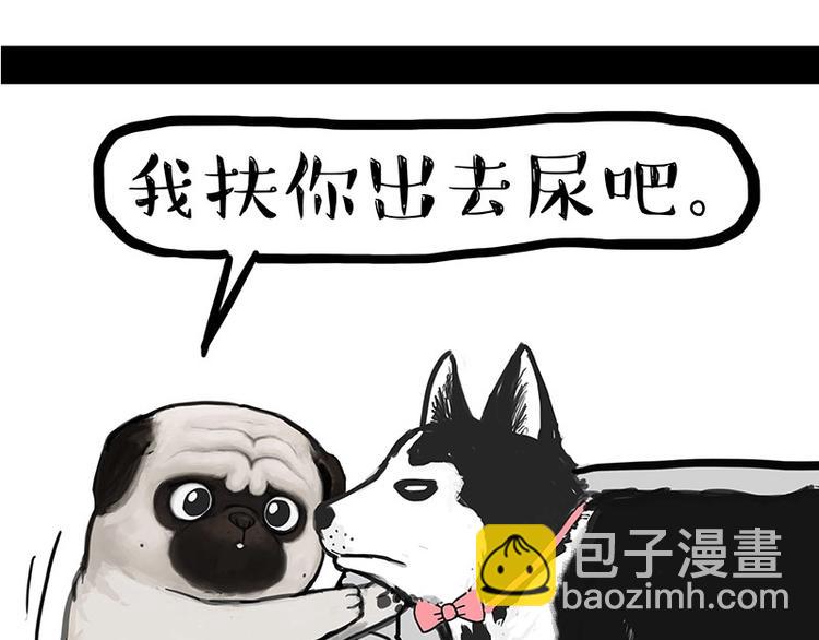 🍘吾皇巴扎黑 第160话 最差的一届哈士奇！ 第32页