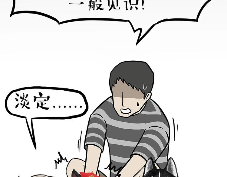 🍘吾皇巴扎黑 第160话 最差的一届哈士奇！ 第41页