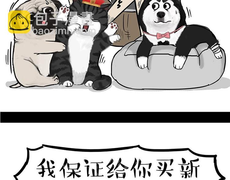 🍘吾皇巴扎黑 第160话 最差的一届哈士奇！ 第42页