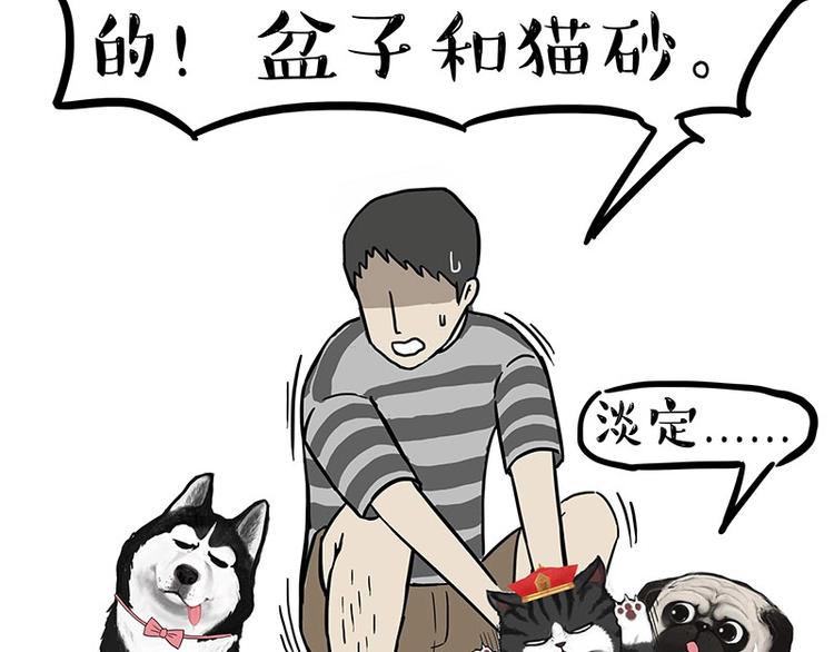 🍘吾皇巴扎黑 第160话 最差的一届哈士奇！ 第43页