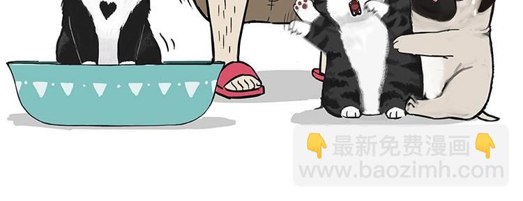 🍘吾皇巴扎黑 第160话 最差的一届哈士奇！ 第44页