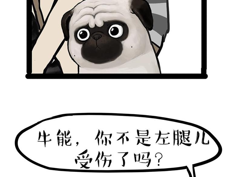 🍘吾皇巴扎黑 第160话 最差的一届哈士奇！ 第48页