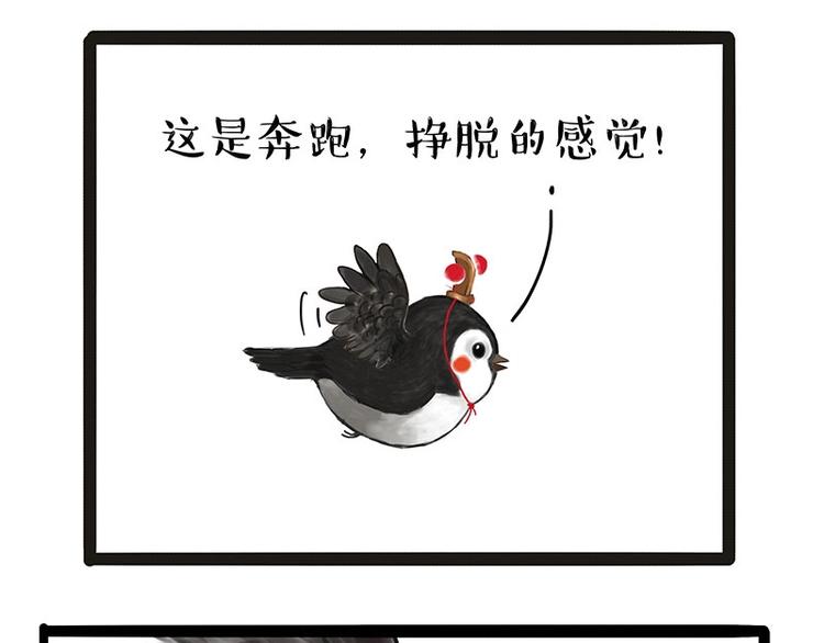 🍘吾皇巴扎黑 第168话  翅中历险记 第2页