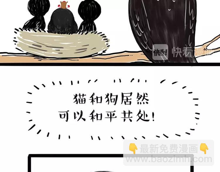 🍘吾皇巴扎黑 第168话  翅中历险记 第40页