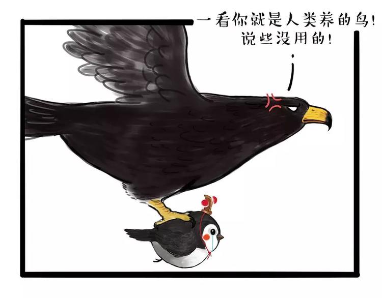 🍘吾皇巴扎黑 第168话  翅中历险记 第7页
