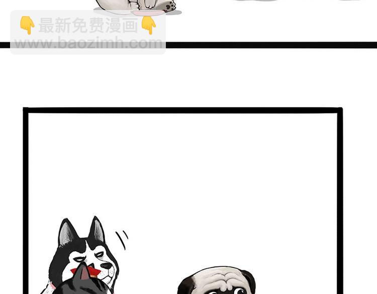 🍘吾皇巴扎黑 第170话 戏精少年 第37页