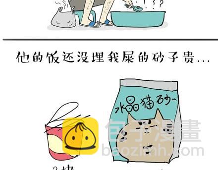 🍘吾皇巴扎黑 第18话 思考喵生的猫 第18页
