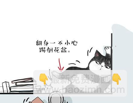 🍘吾皇巴扎黑 第18话 思考喵生的猫 第27页