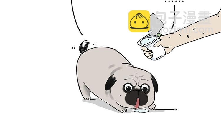 🍘吾皇巴扎黑 第172话  少年大改造？ 第6页