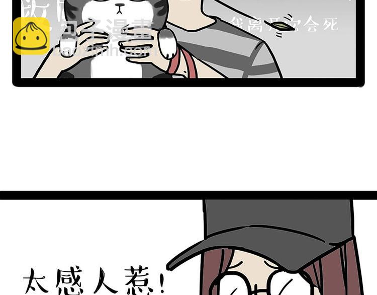 🍘吾皇巴扎黑 第178话 都给女装大佬让个座 第17页