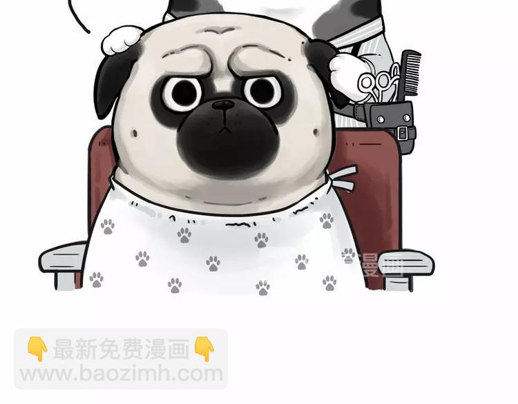 🍘吾皇巴扎黑 第182话 巴扎黑换了个头…型 第14页