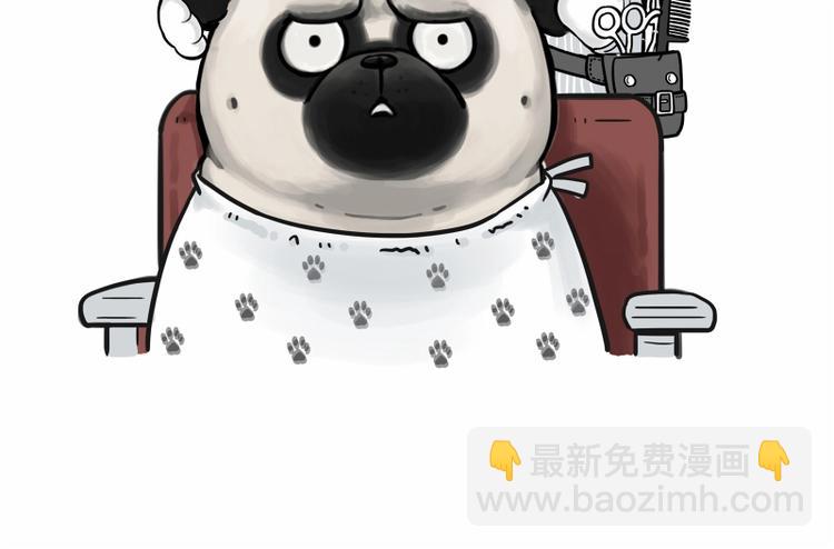 🍘吾皇巴扎黑 第182话 巴扎黑换了个头…型 第16页