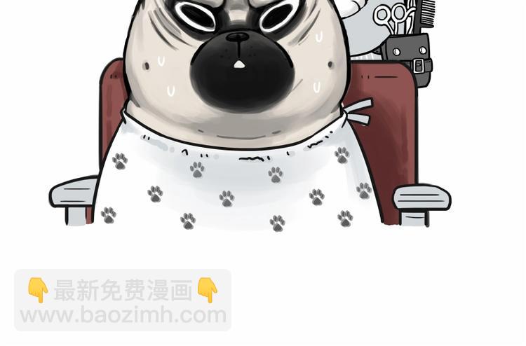 🍘吾皇巴扎黑 第182话 巴扎黑换了个头…型 第20页