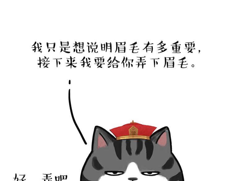🍘吾皇巴扎黑 第182话 巴扎黑换了个头…型 第35页