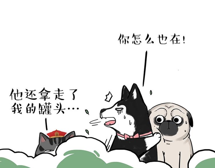 🍘吾皇巴扎黑 第184话 牛能的烦恼 第11页