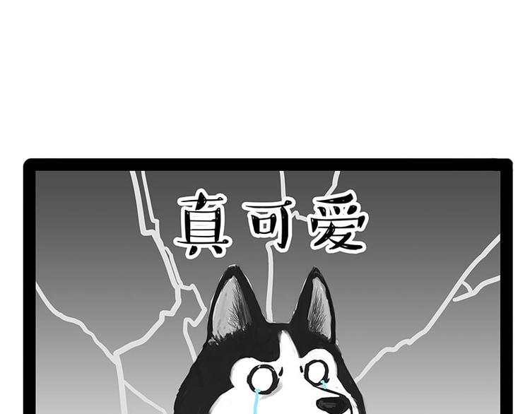 🍘吾皇巴扎黑 第184话 牛能的烦恼 第24页
