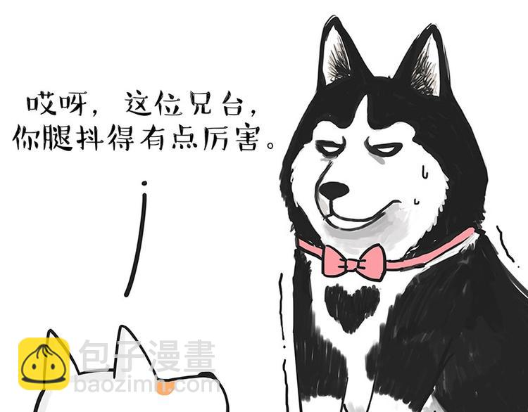🍘吾皇巴扎黑 第184话 牛能的烦恼 第33页