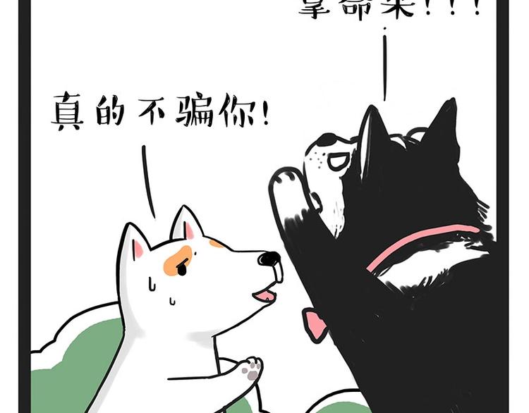 🍘吾皇巴扎黑 第184话 牛能的烦恼 第41页