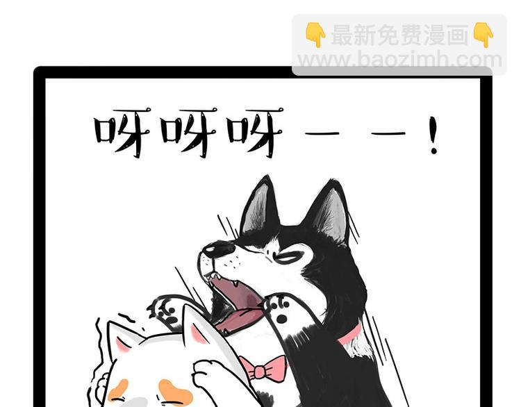 🍘吾皇巴扎黑 第184话 牛能的烦恼 第43页