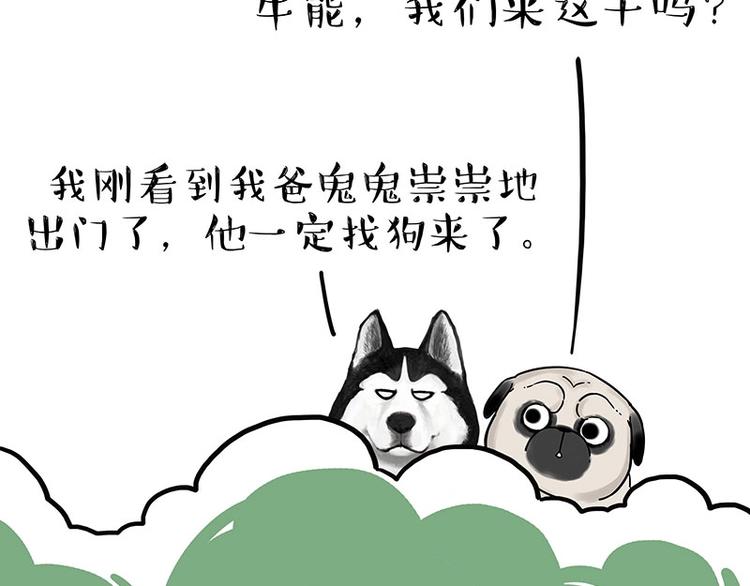 🍘吾皇巴扎黑 第184话 牛能的烦恼 第9页